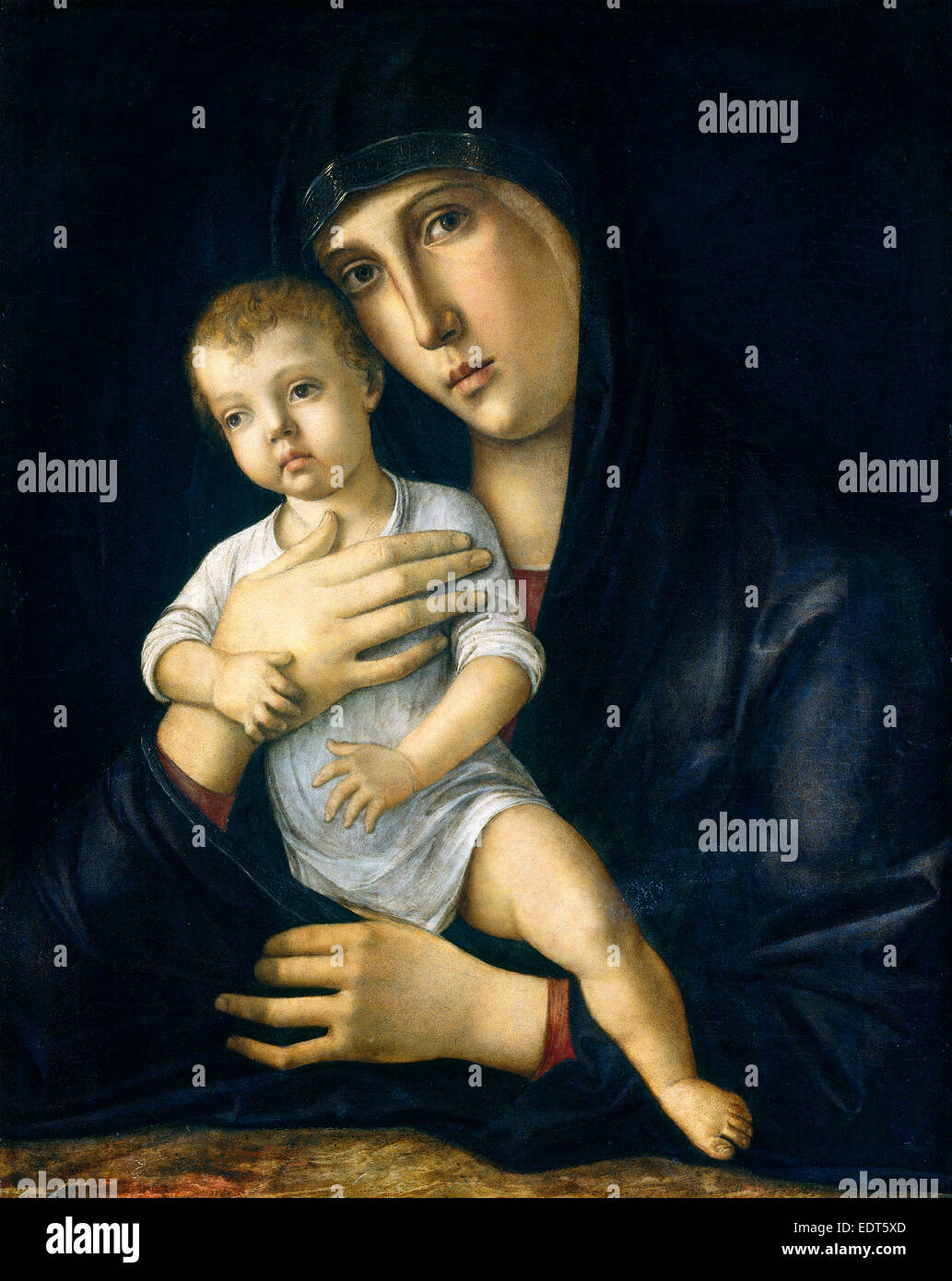 Giovanni Bellini, la Madonna e il bambino italiano, c. 1430-1435-1516, c. 1480-1485, olio su pannello Foto Stock