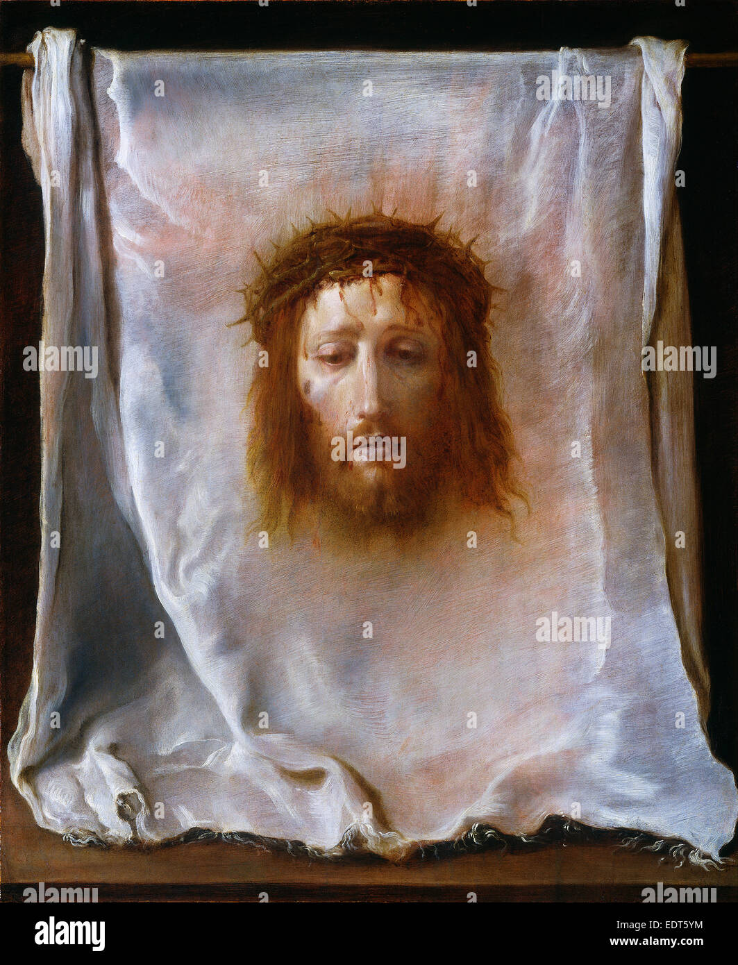 Velo Della Veronica Dove Si Trova Velo della veronica immagini e fotografie stock ad alta risoluzione - Alamy