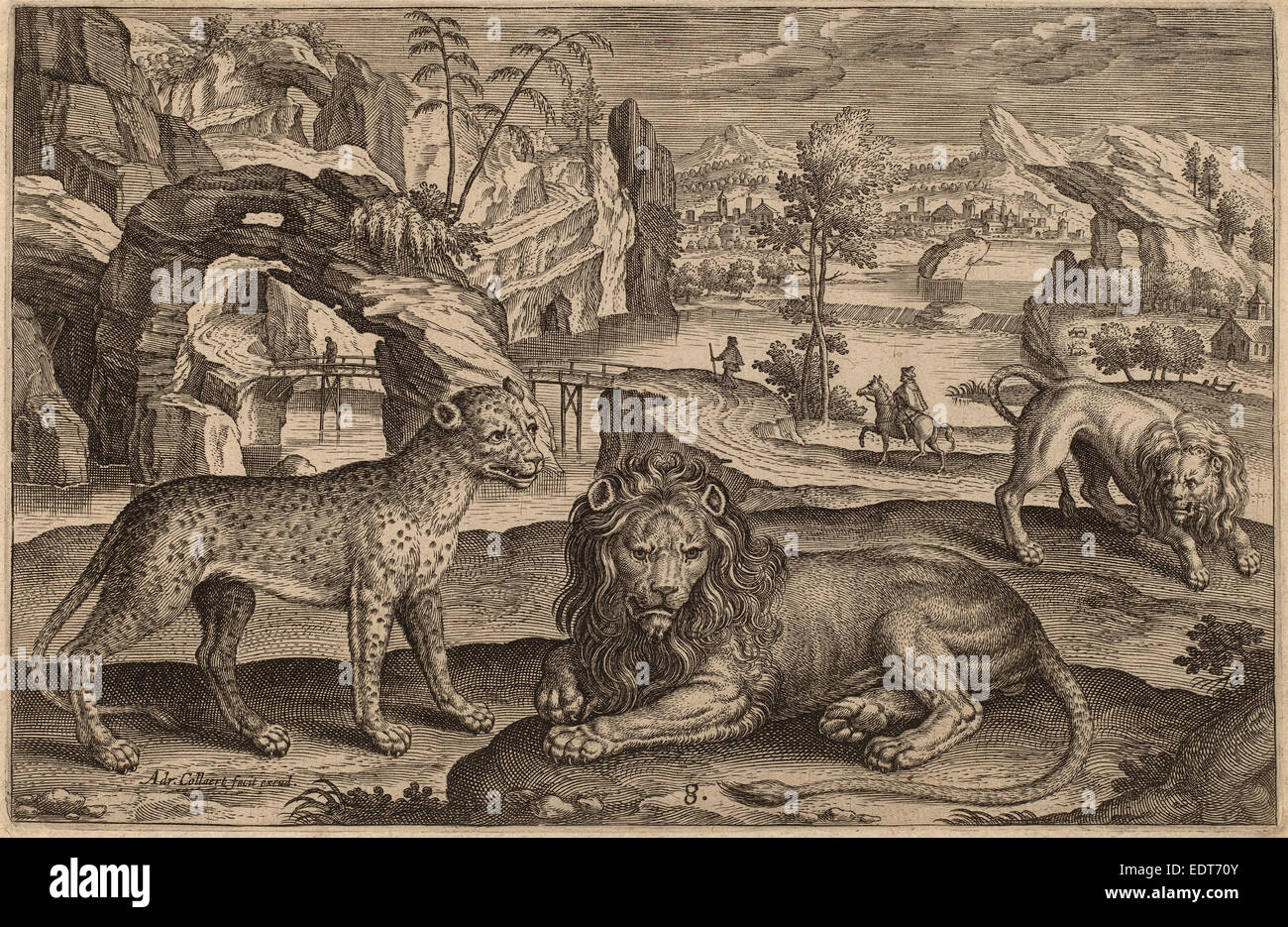 Adriaen Collaert (fiammingo, c. 1560 - 1618), Animalium Quadrupedum, incisione Foto Stock