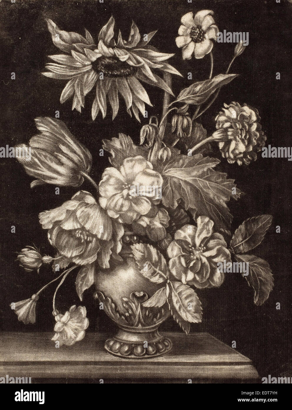 Elias Christoph Heiss (tedesco, 1660 - 1731), floreale ancora in vita con un girasole, c. 1690, mezzatinta su cui la carta Foto Stock