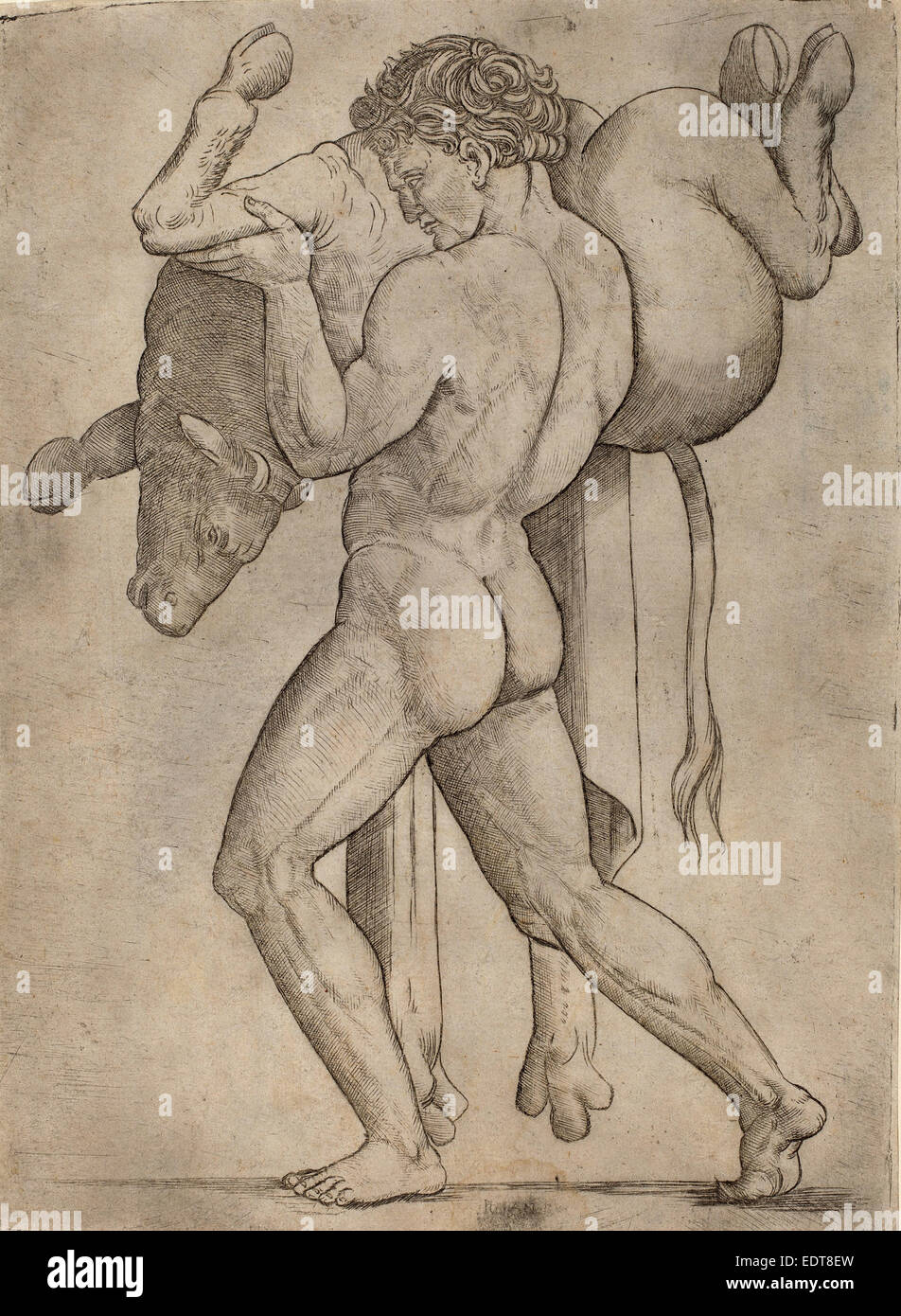 Giovanni Antonio da Brescia (italiano, attivo c. 1490 - 1525 o dopo), Ercole e il Toro Cretese, c. 1514-1515, incisione Foto Stock