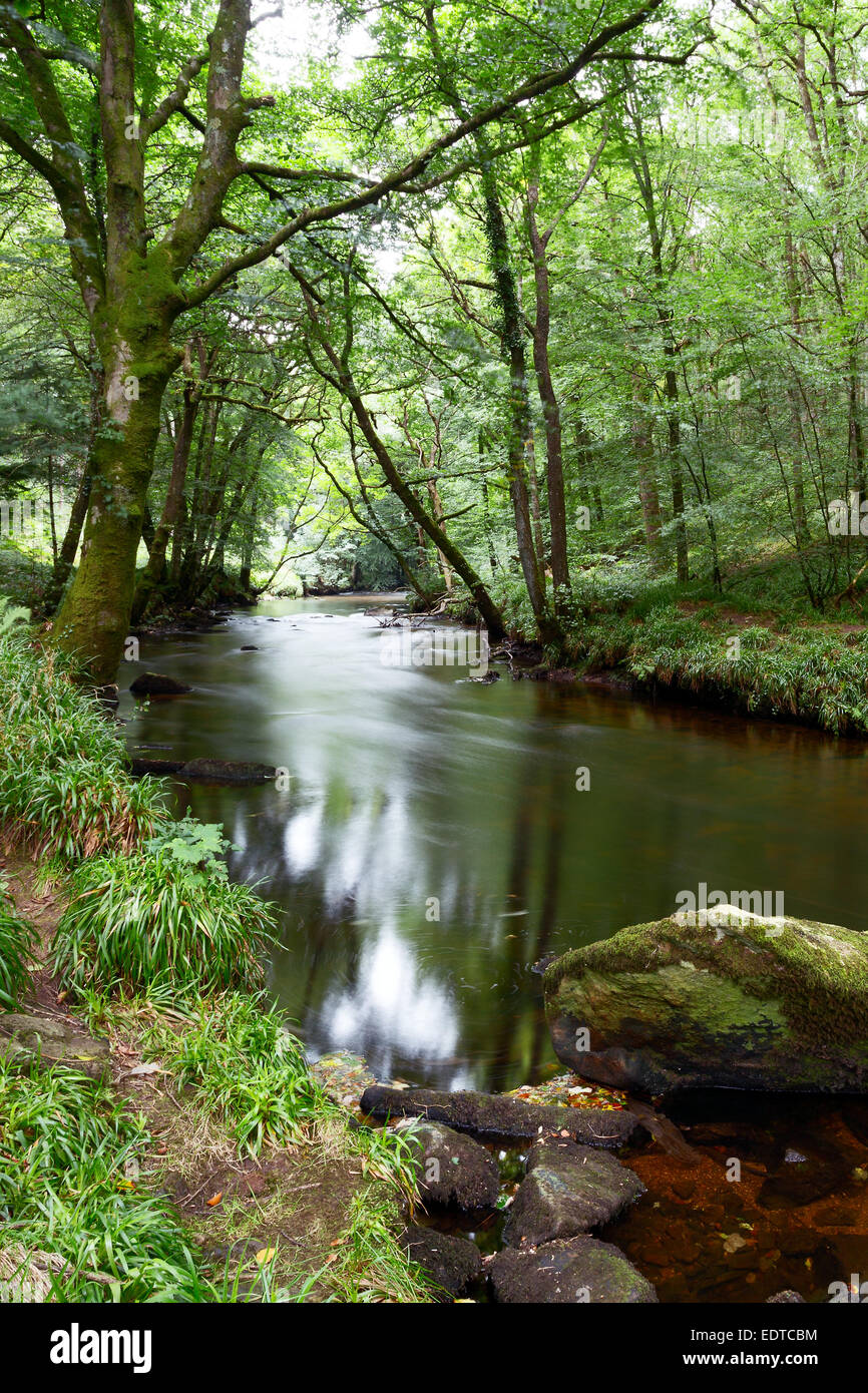 Il fiume Teign vicino Fingle Bridge, Parco Nazionale di Dartmoor Devon UK Foto Stock