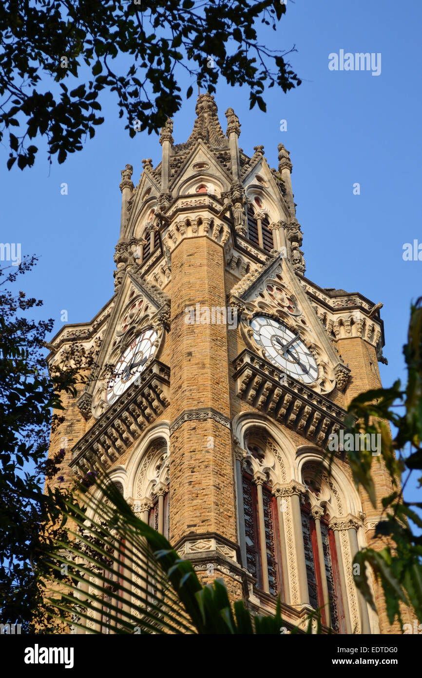 L'Università di Mumbai, India Foto Stock