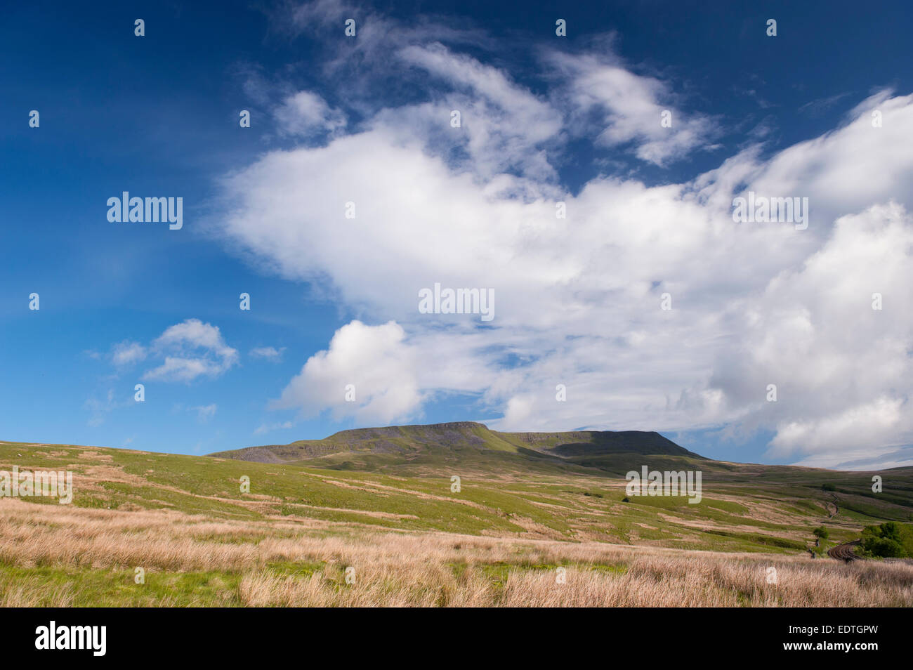 Il cinghiale è sceso, Mallerstang, nella tomaia Eden Valley, Cumbria, Regno Unito Foto Stock