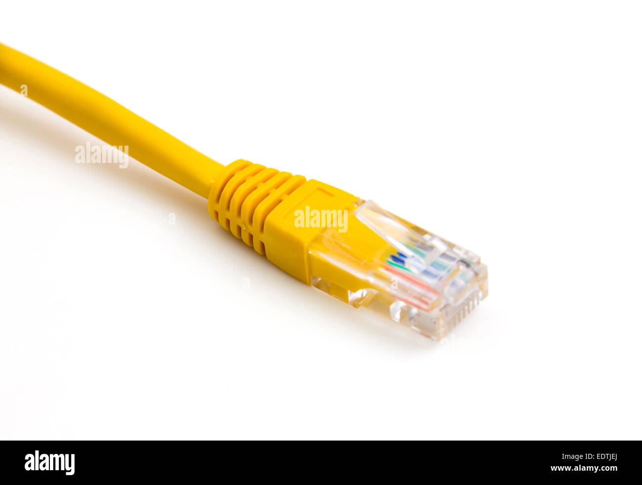 Cavo Ethernet visto da vicino su sfondo bianco Foto Stock