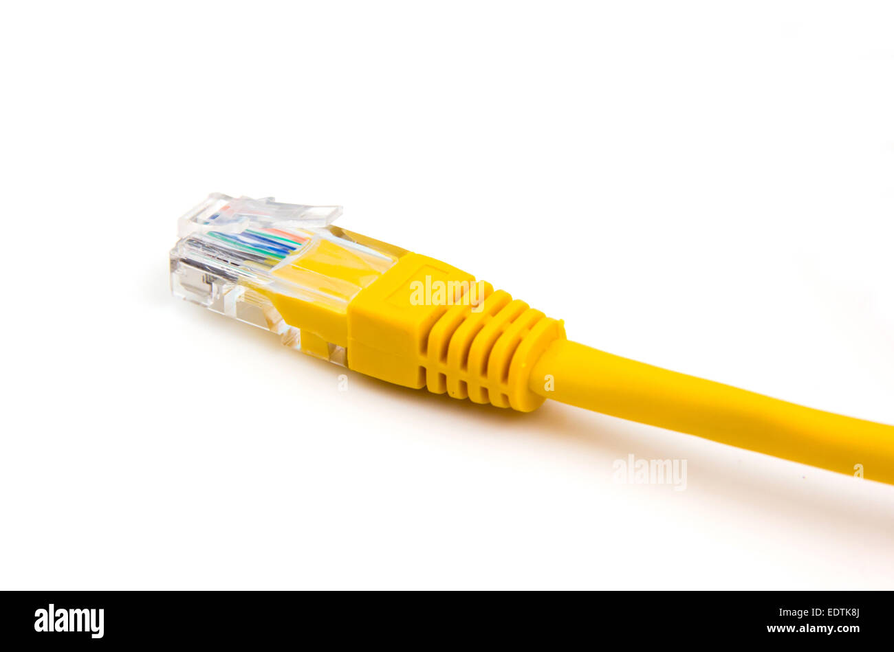 Cavo Ethernet giallo su sfondo bianco Foto Stock