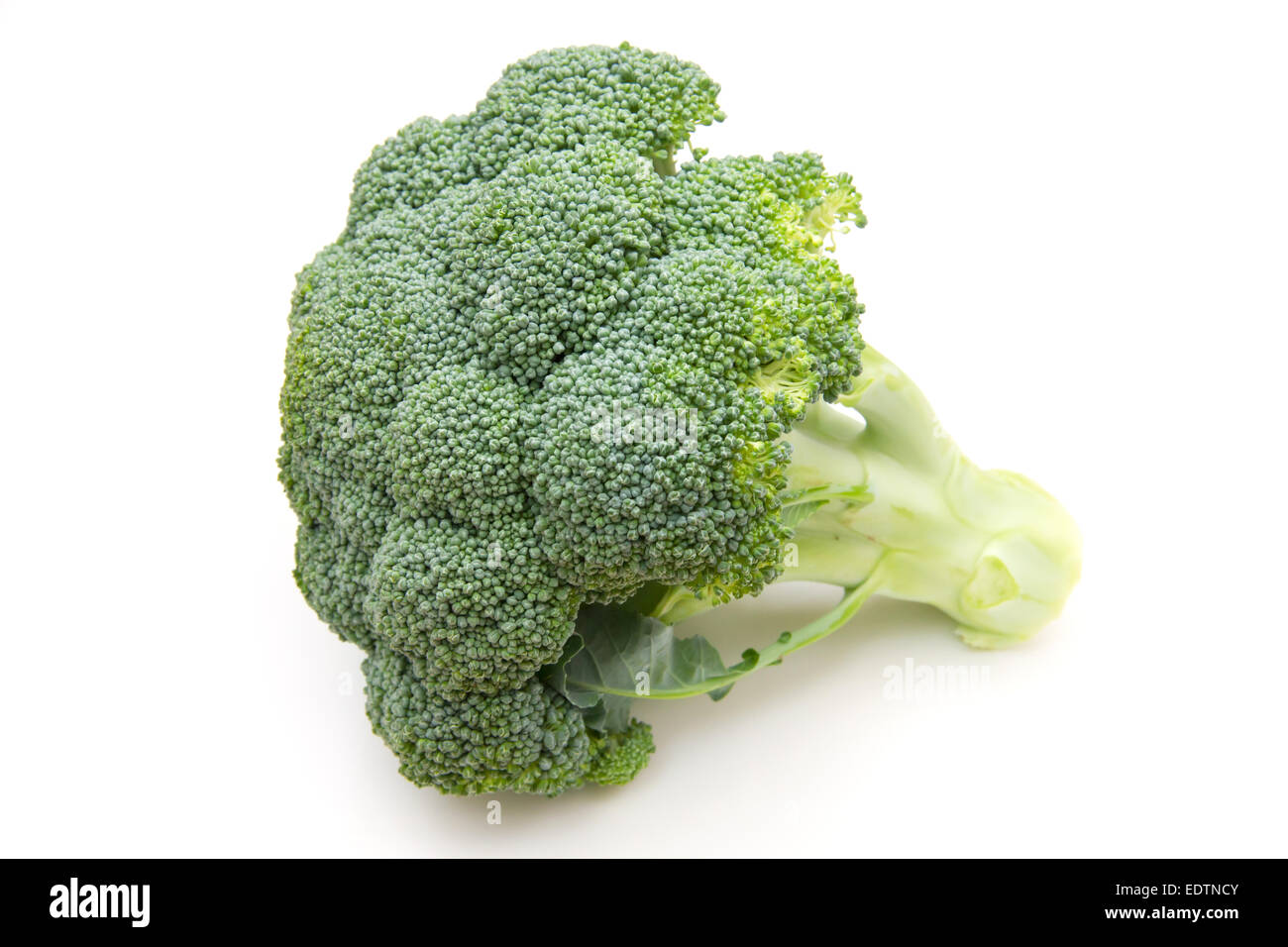 Fette di broccoli freschi su sfondo bianco Foto Stock