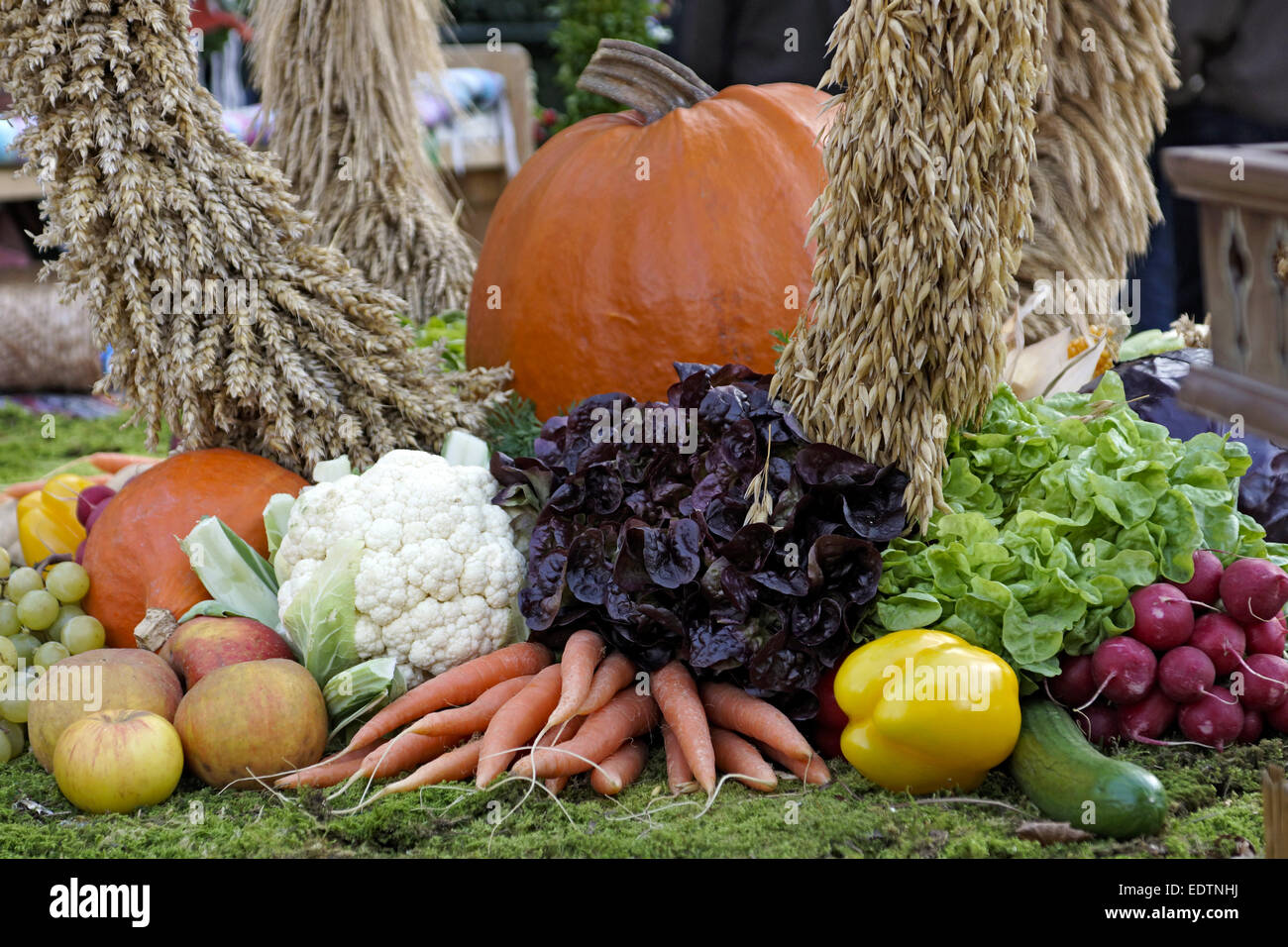 Erntedankfest, Obst und Gemüse Getreide,ringraziamento, frutta e verdura e cereali,ringraziamento, raccolto, festival, frutta, v Foto Stock