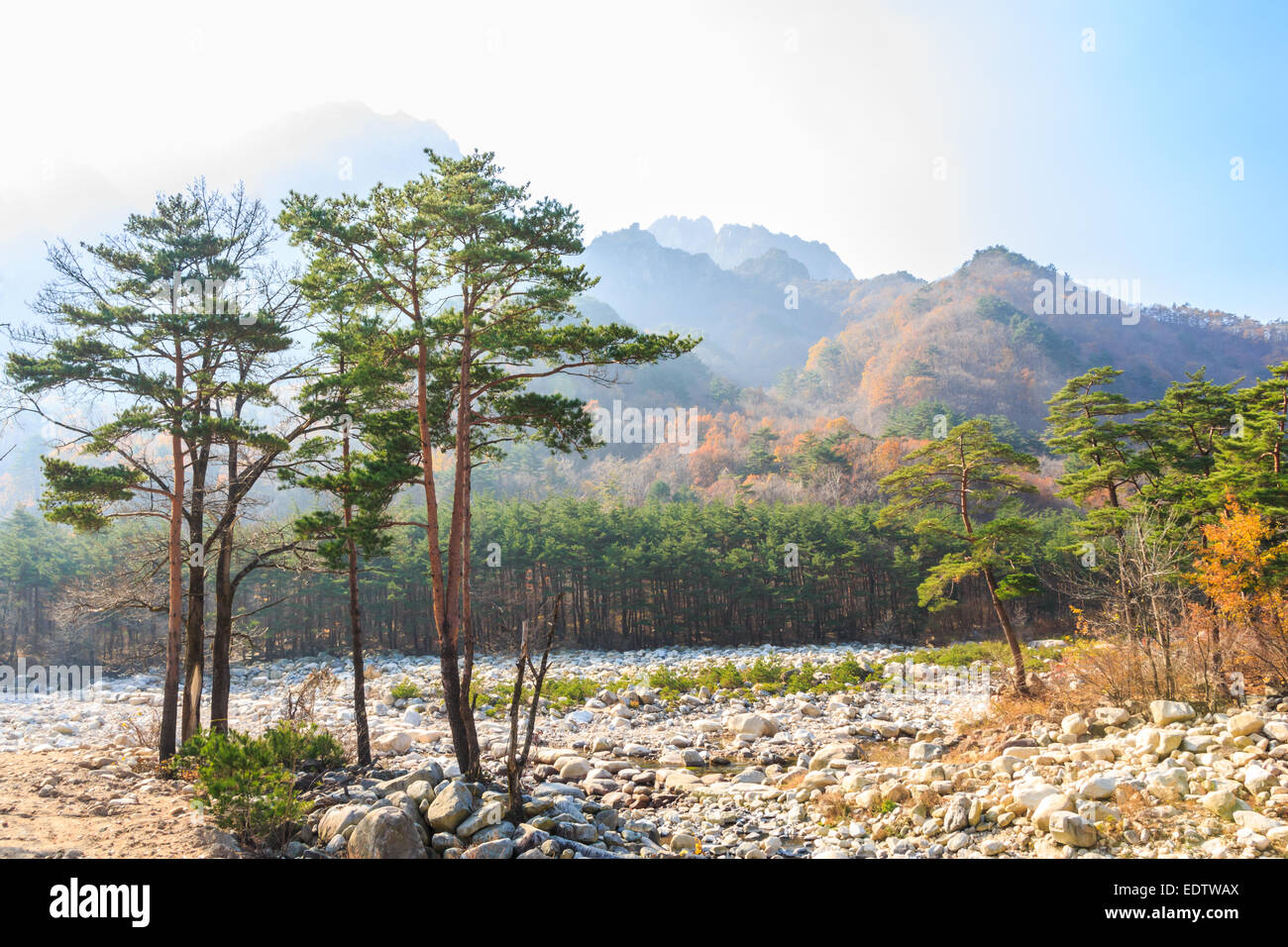 Alberi colorati e la sovrapposizione di montagna e di luce solare a Seoraksan national park in autunno ,Corea del Sud Foto Stock