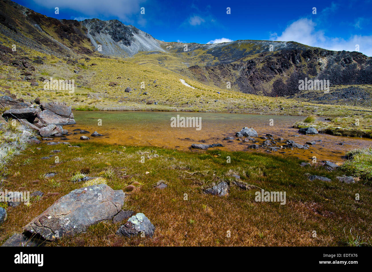 Tarn su Kepler via nel Parco Nazionale di Fiordland, Nuova Zelanda Foto Stock