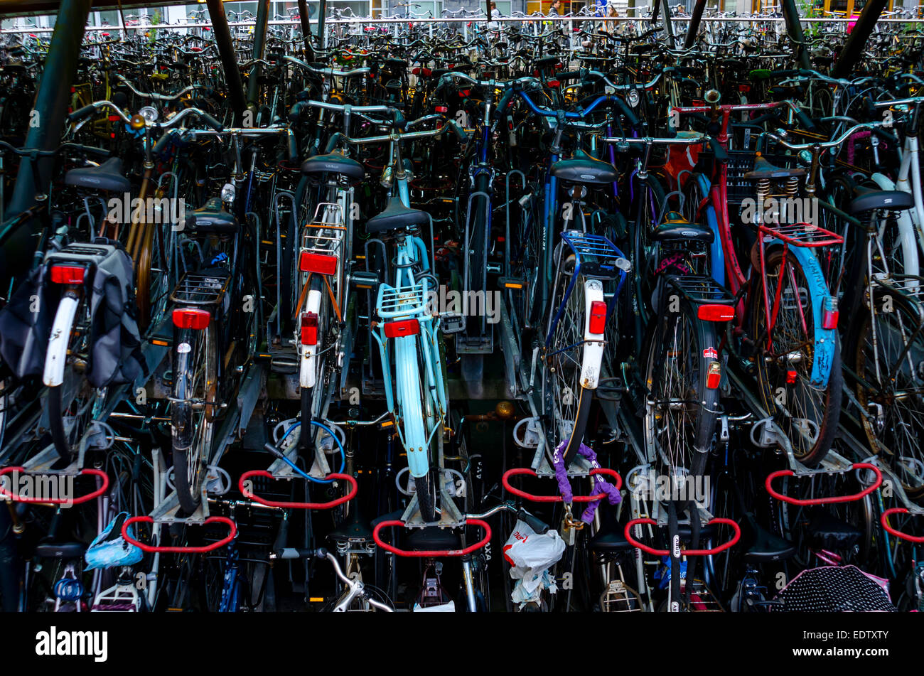 Migliaia di biciclette sono memorizzati in pile ad una stazione ferroviaria di Leiden nei Paesi Bassi Foto Stock