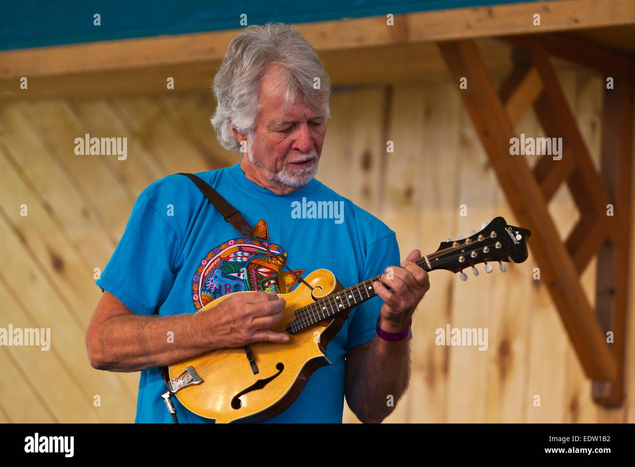 MARLEYS GHOST esegue al 2014 Quattro Angoli Folk Festival - Colorado Foto Stock