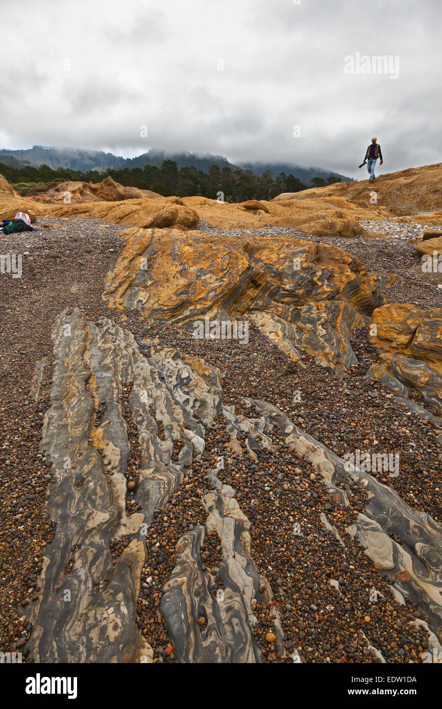 Le formazioni rocciose a Weston Beach e a Monterey Pine Forest - punto Lobos State Park, California Foto Stock