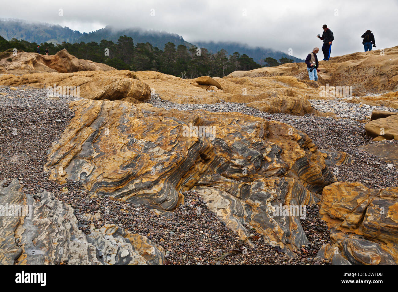 Fotografi godere di formazioni rocciose a Weston Beach e a Monterey Pine Forest - punto Lobos State Park, California Foto Stock