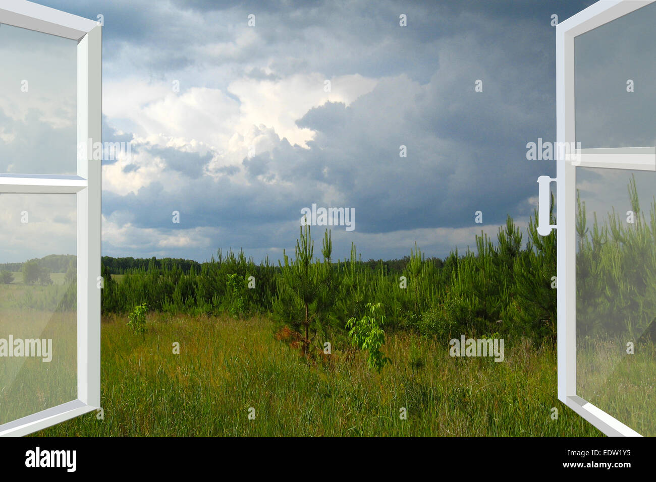 Finestra aperta per il campo estivo con pini e dark cloud di pioggia Foto Stock