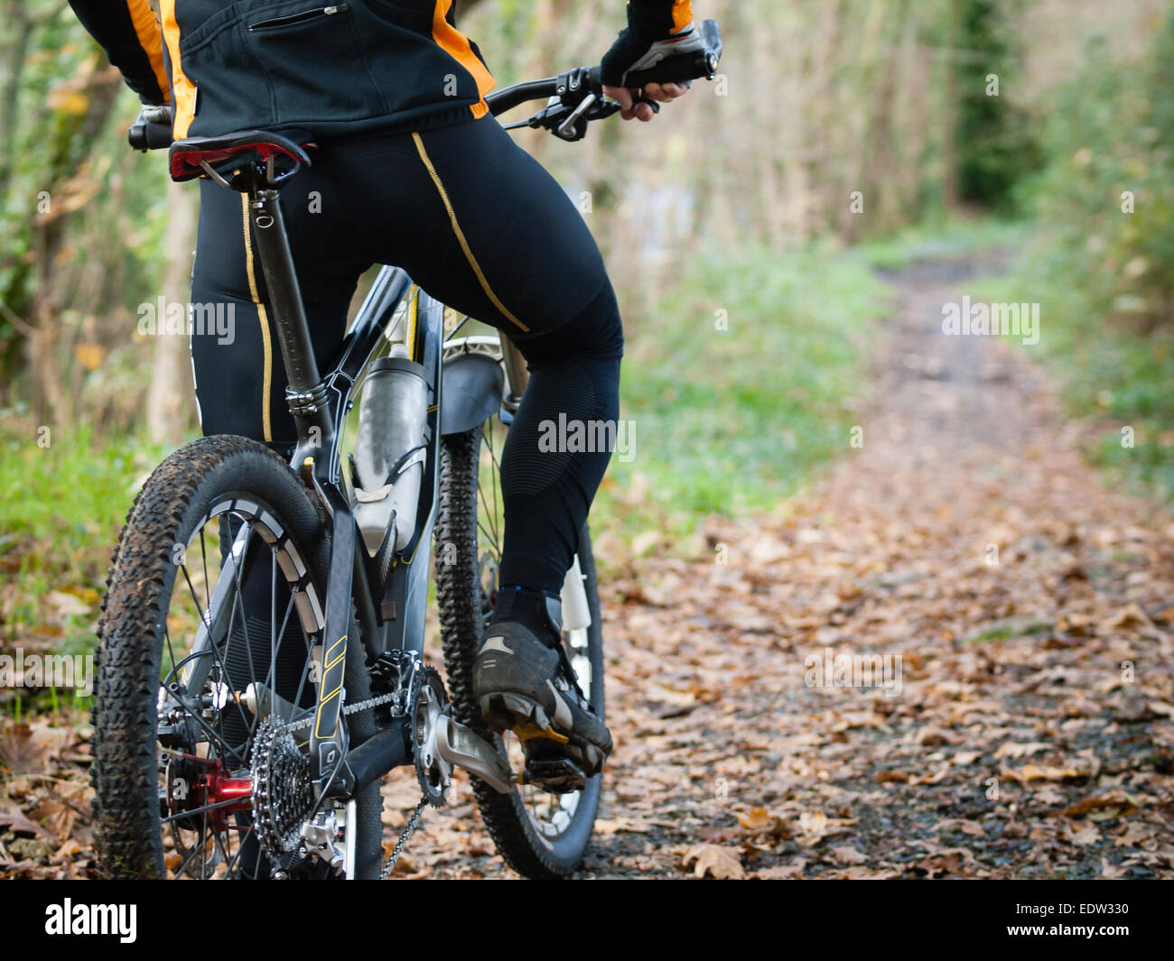 Ciclista in piedi di fronte a un percorso di foresta con una copia spazio sulla vostra destra Foto Stock