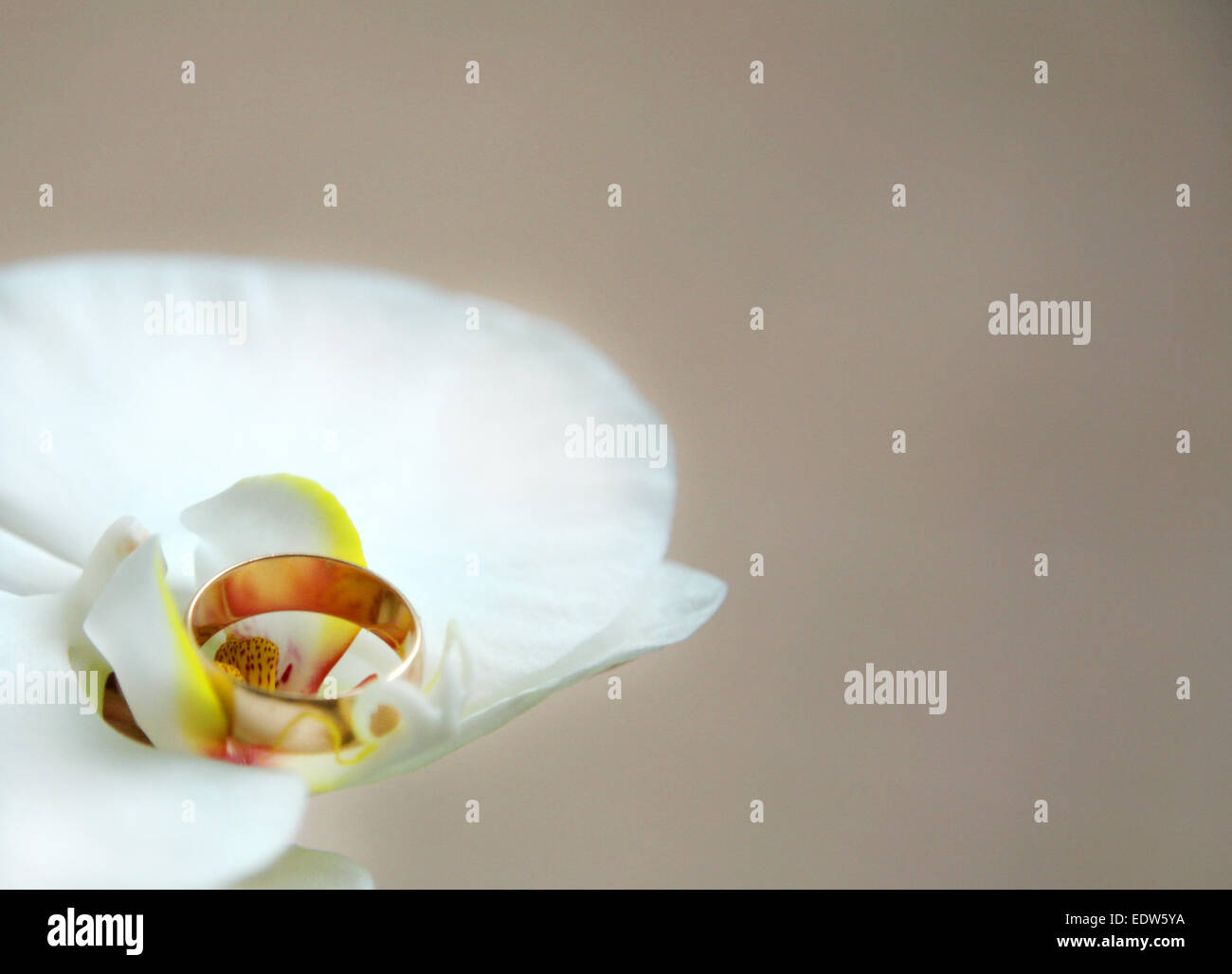 Anello di nozze in fiore Foto Stock