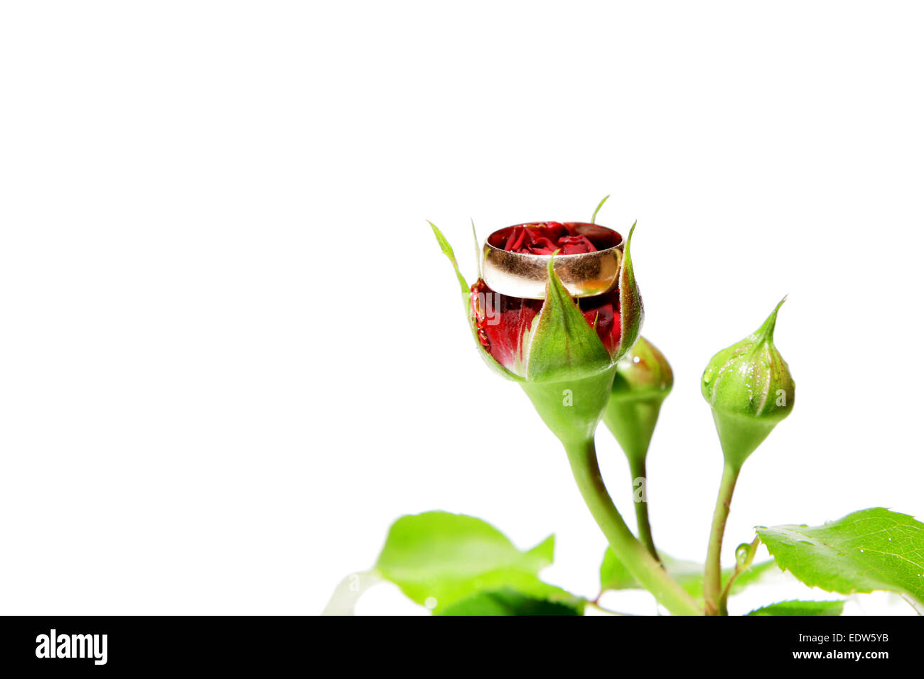 Anello di nozze in fiore Foto Stock