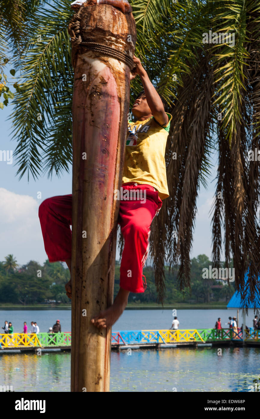 63 Anniversario della formazione della Stato Kayah Festival. Salendo il polo grassa. Foto Stock