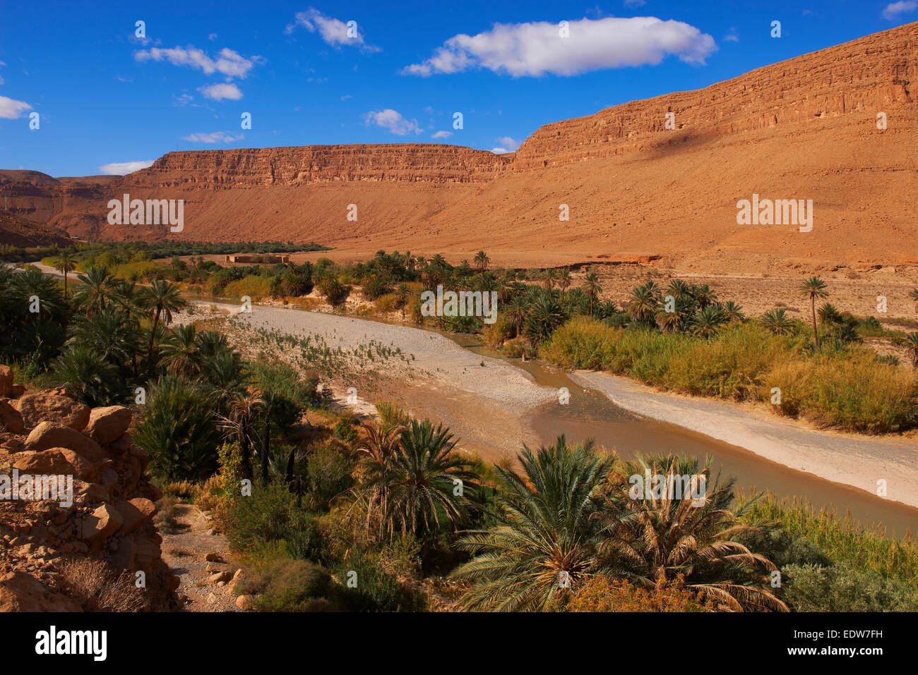 Ziz fiume Oued Ziz, Gorges du Ziz, Ziz Valley, Ziz gole, oasi, regione Tafilalet, Marocco, Africa del Nord Foto Stock