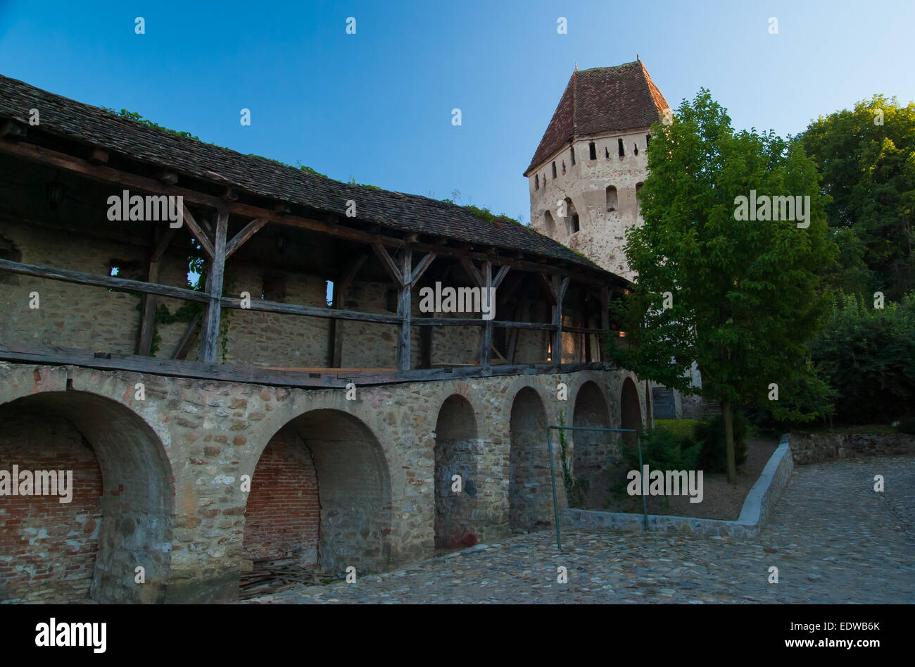 La fortezza medievale di Sighisoara Foto Stock