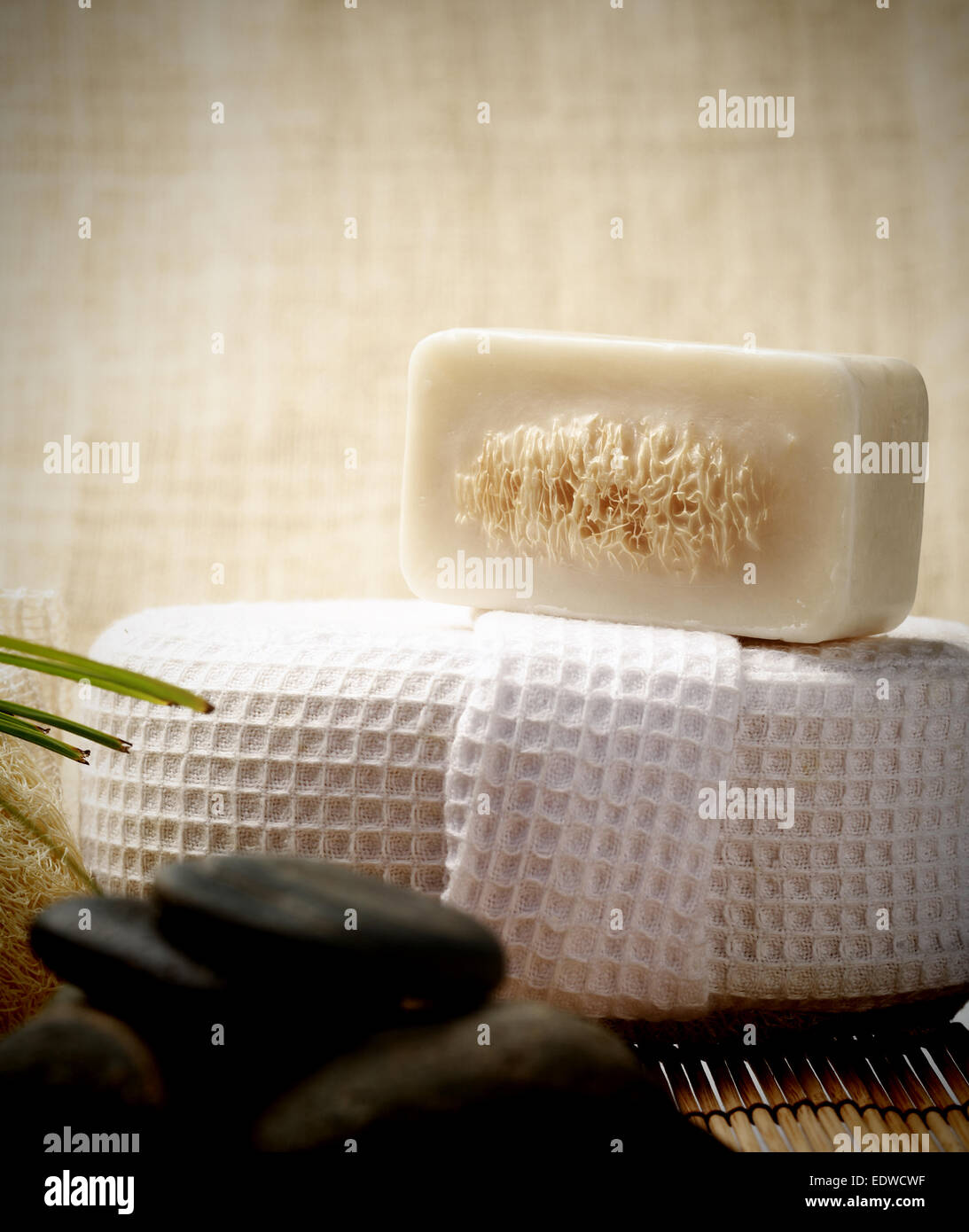 La speciale sapone scrub su spa impostato per una pelle sana Foto Stock