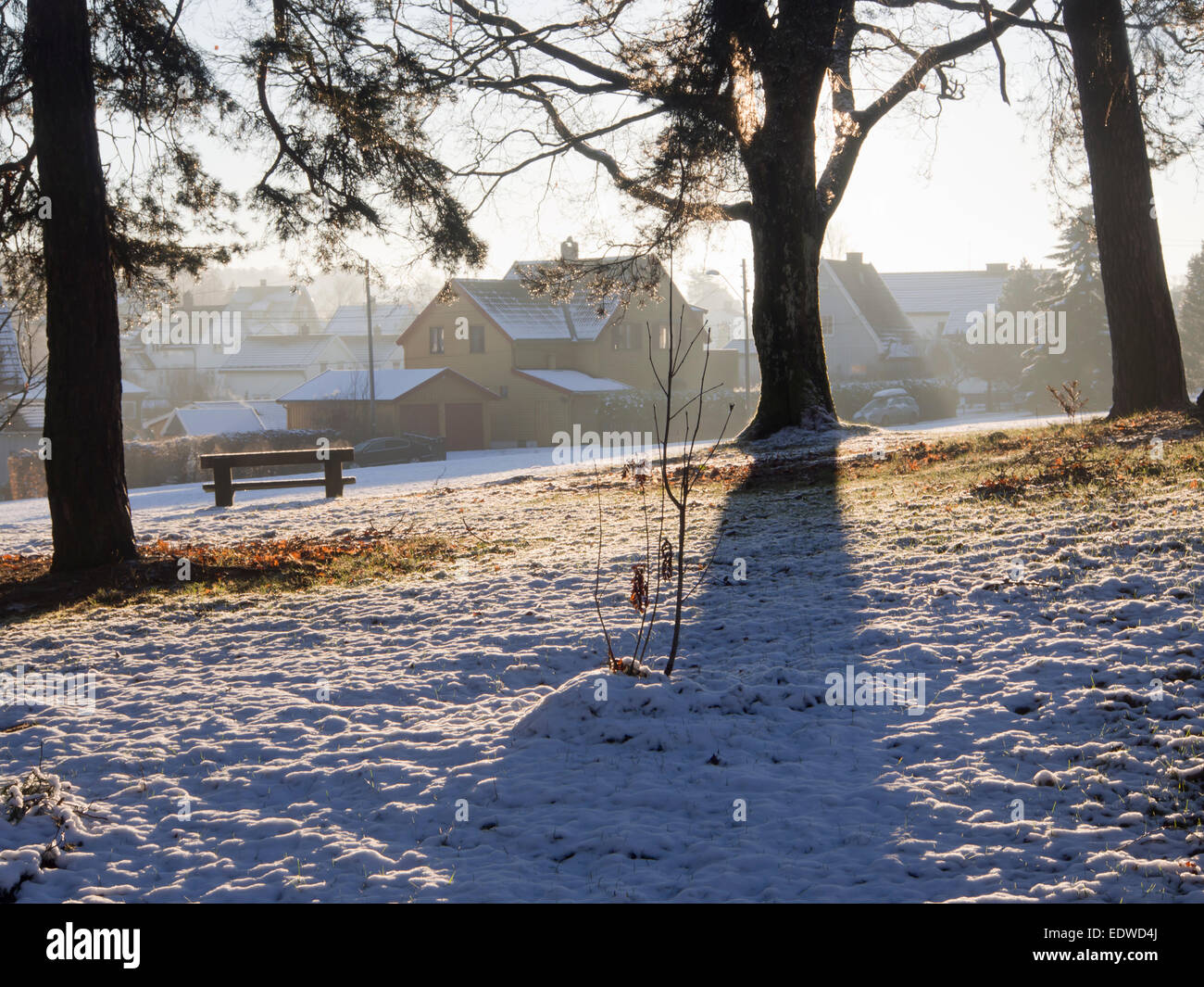 Bassa giallo sole invernale oltre il campo di neve e stubbles, erba secca e alberi sparsi, lunghe ombre, case in legno banco solitario Foto Stock