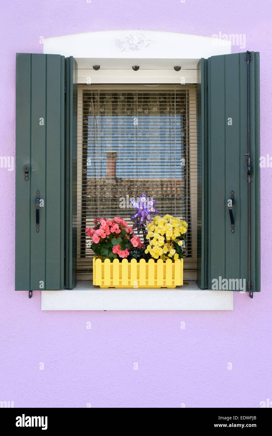 Contrasti di colore in una tipica finestra di Burano e window box - Burano si trova in una pittoresca isola italiana village / piccola città nella laguna di Venezia Foto Stock