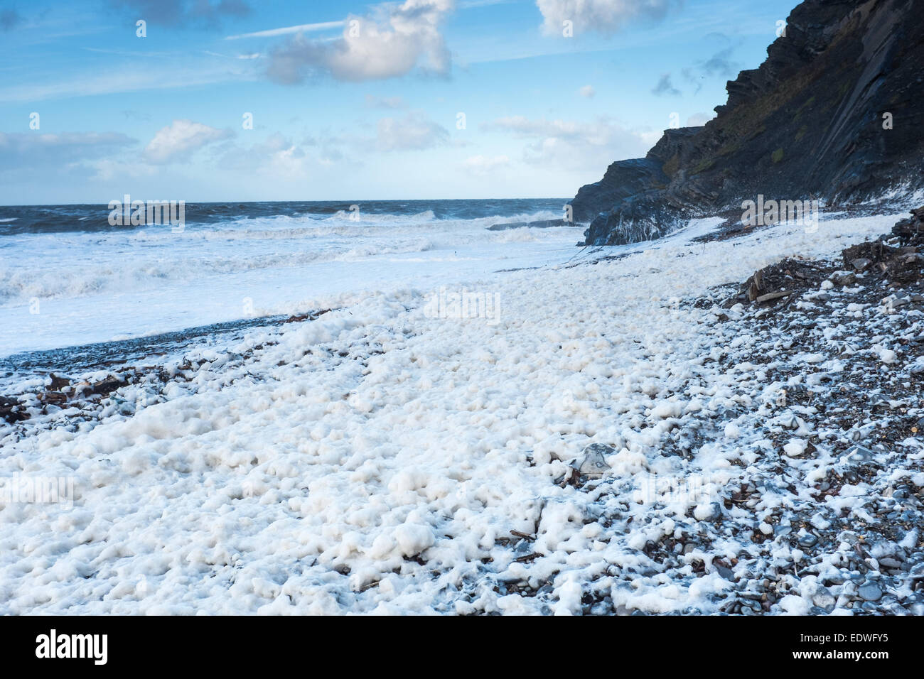 Aberystwyth, Wales, Regno Unito. Il 10 gennaio 2015. Dopo una giornata di fo maltempo e mare mosso di una grande quantità di mare-schiuma è depositato su Aberystwyth Beach, quasi cercando come neve. Schiuma di Mare o 'spume' viene creato quando organici (come le alghe) è ripartito e agitati in mare mosso. Credito: Alan Hale/Alamy Live News Foto Stock