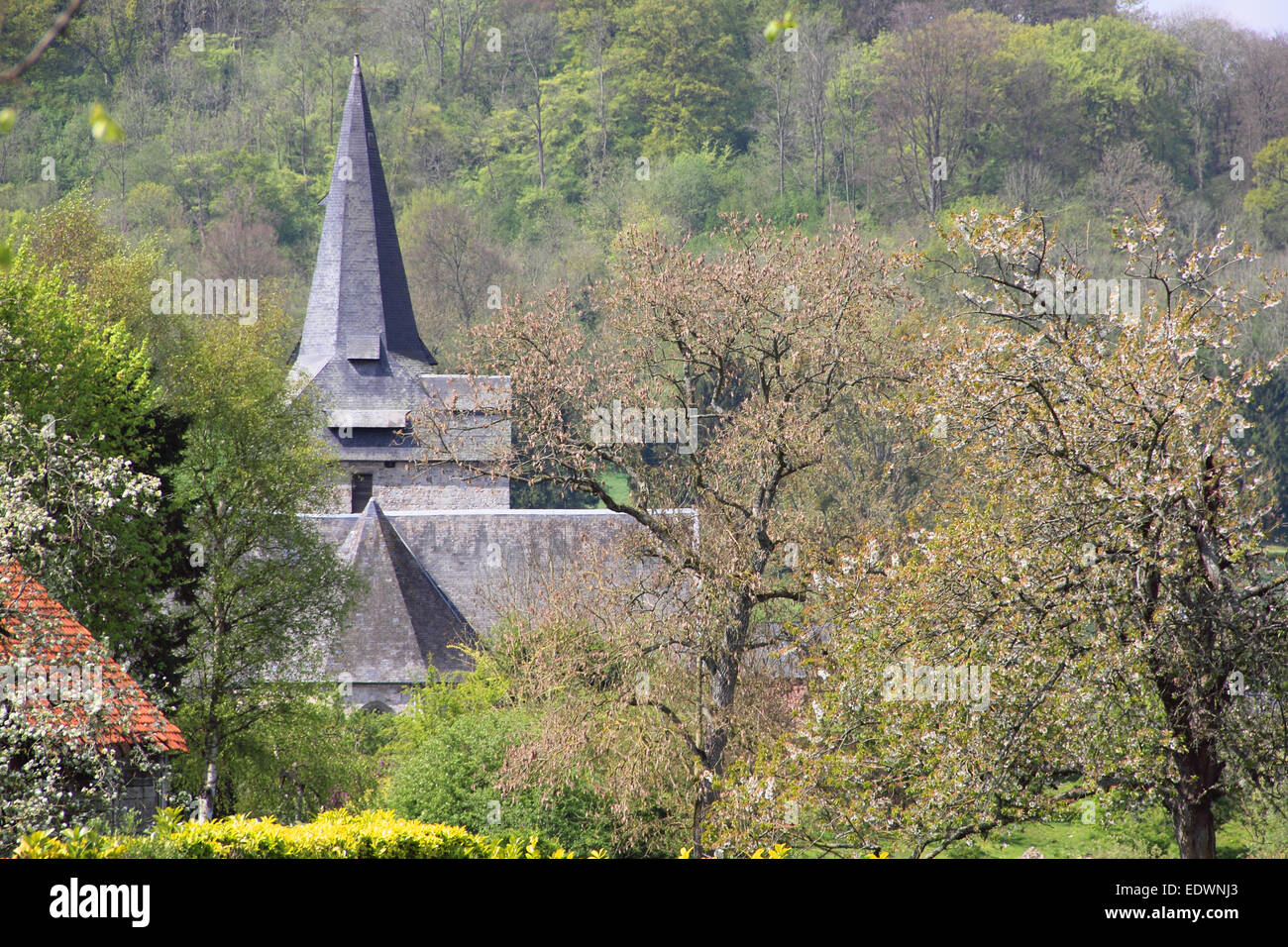 Vista su Torcy-le-Grand, tipico villaggio della Normandia, Francia Foto Stock