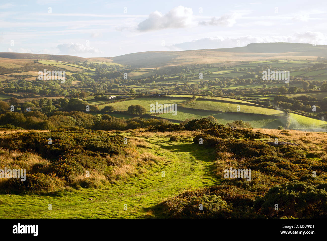 Vista sulla campagna Devon da Meldon collina vicino Chagford Parco Nazionale di Dartmoor Devon UK Foto Stock