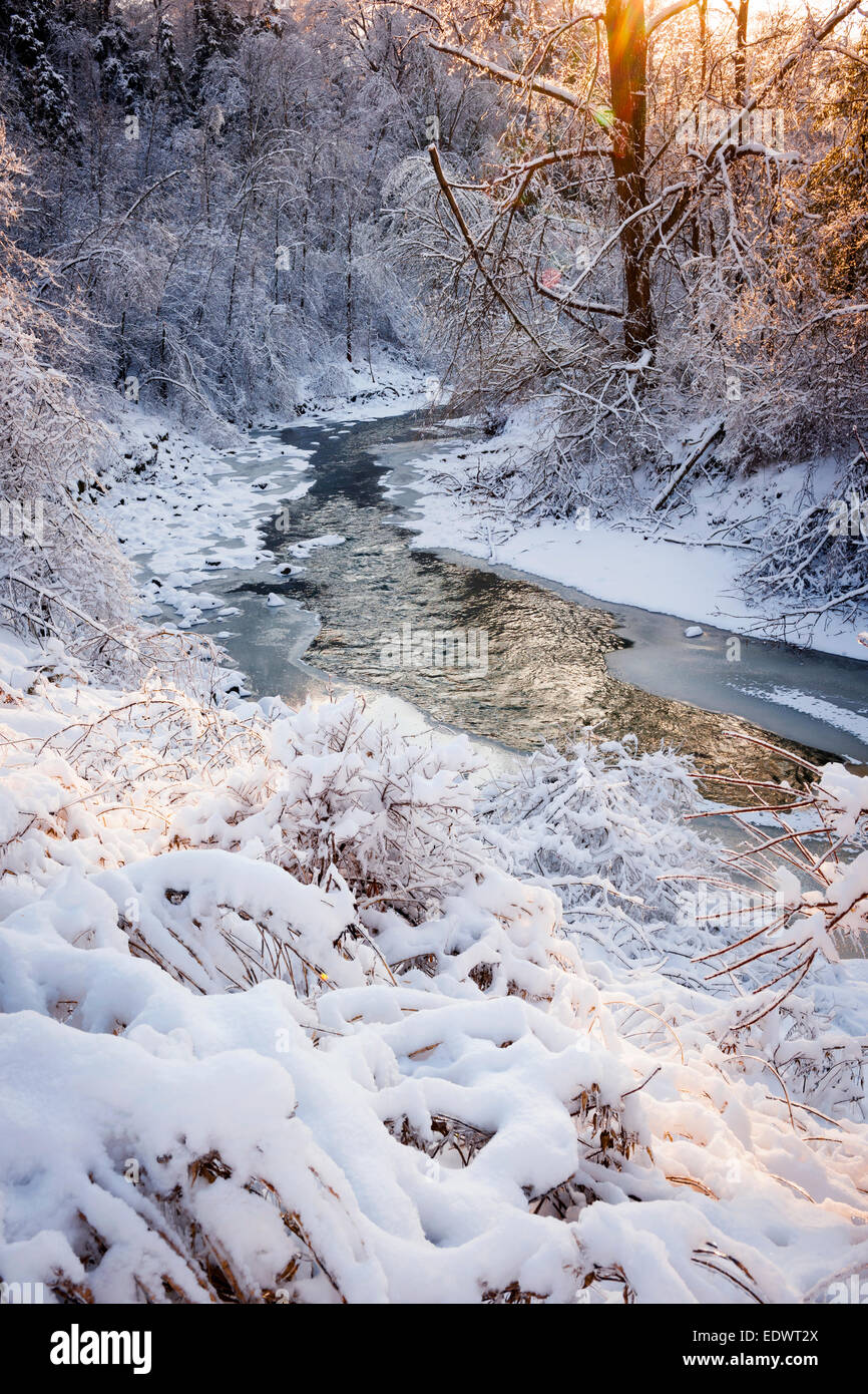 Paesaggio invernale della coperta di neve foresta con fiume che scorre dopo la tempesta di neve invernale incandescente e scintillante di sole caldo. Ontari Foto Stock