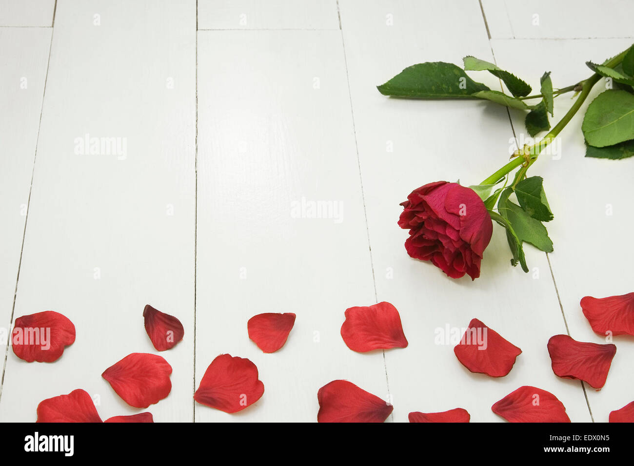 In tessuto rosso petali di rosa e un colore rosso scuro rosa bianca su assi di legno Foto Stock