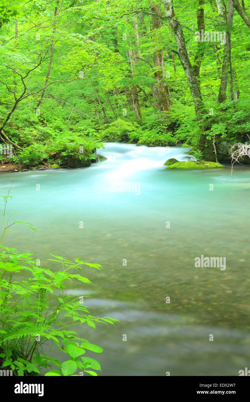 Estate di flusso Oirase, Aomori, Giappone Foto Stock