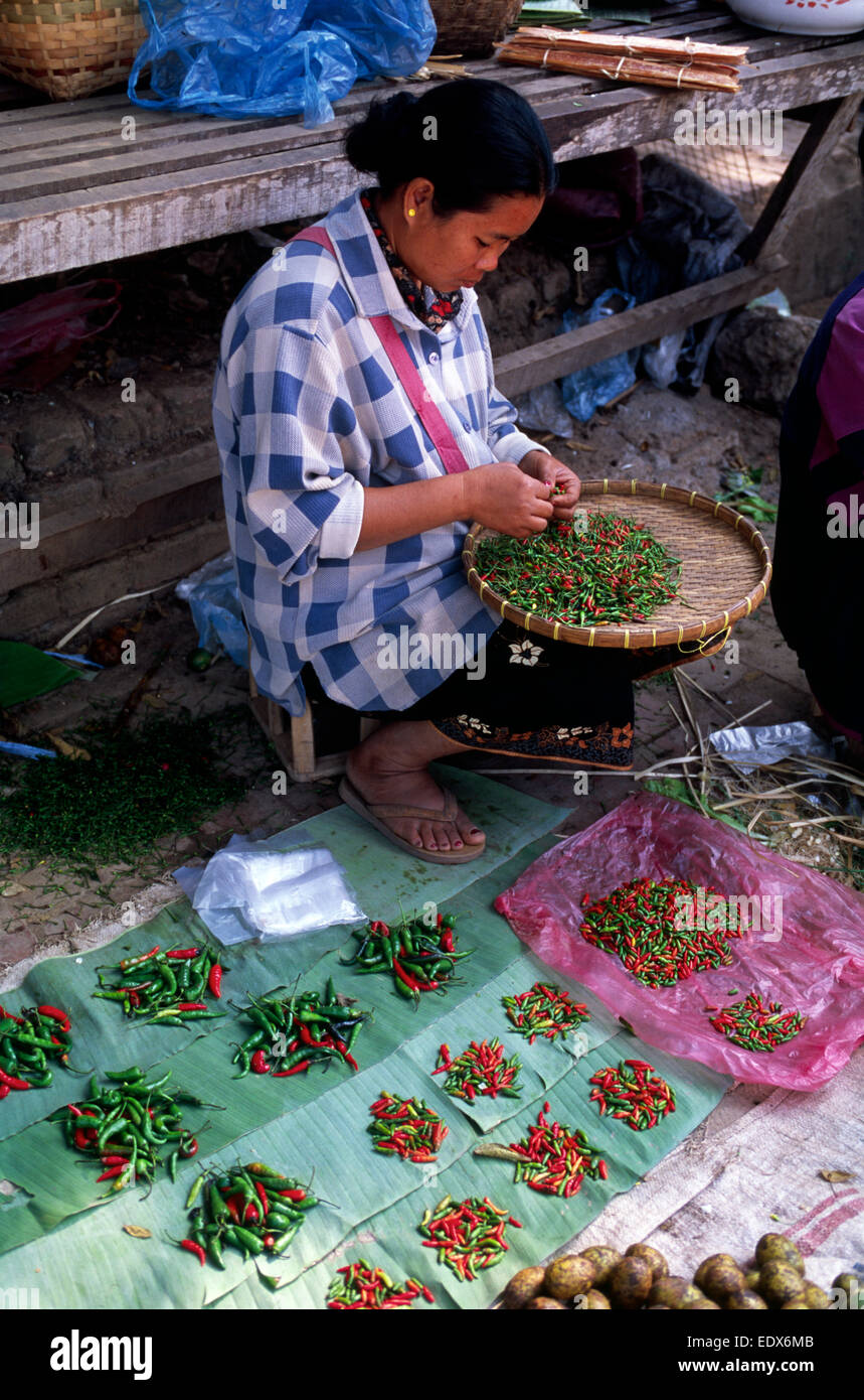 Laos, Luang Prabang, mercato Foto Stock