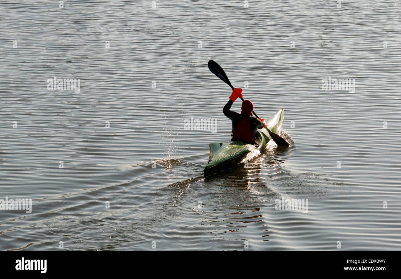 Canoeist, il fiume Reno, Colonia, nella Renania settentrionale-Vestfalia (Germania). Foto Stock