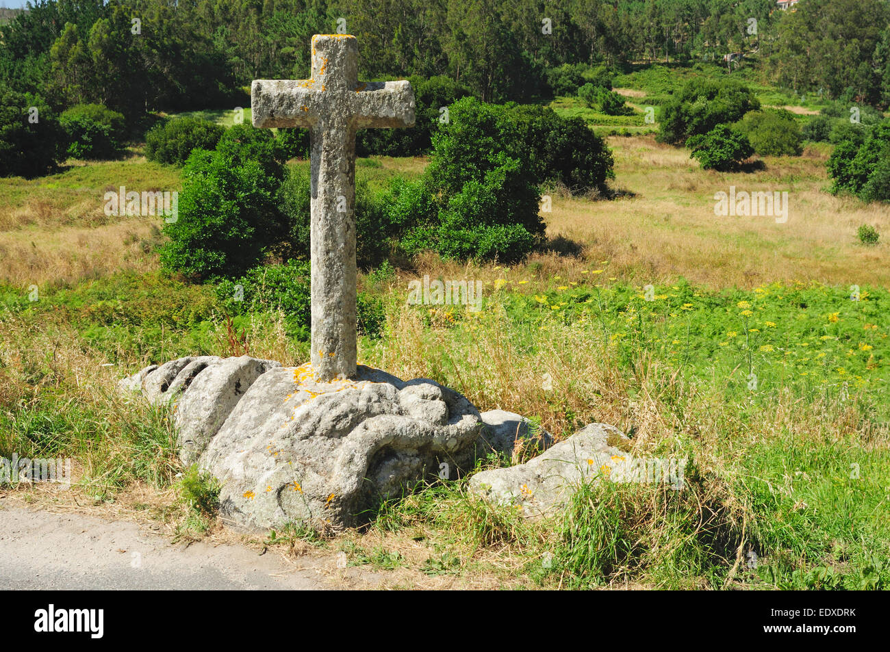 Il Serpente di pietra. A Ponteceso, Galizia, Spagna Foto Stock