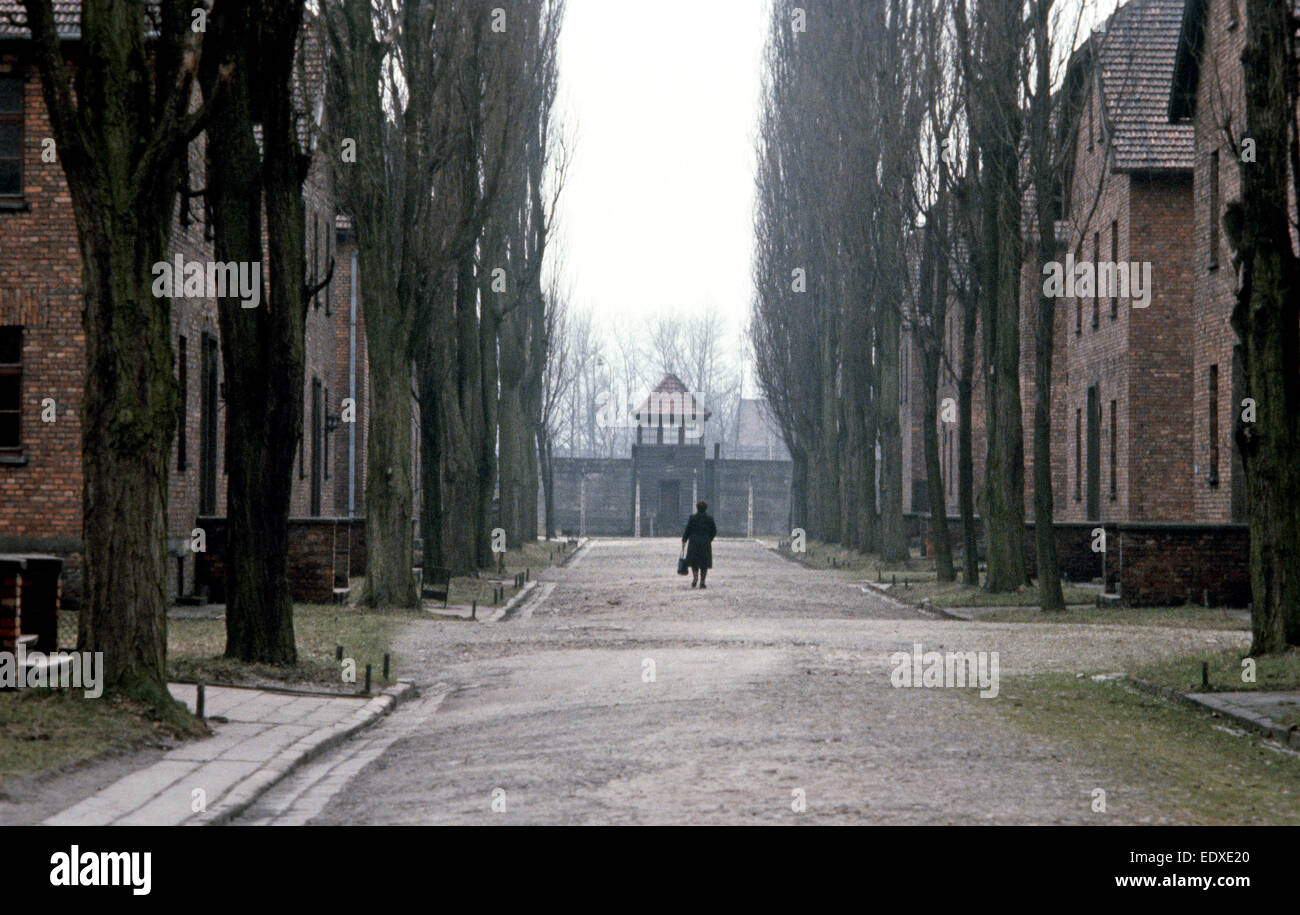 Campo di concentramento di Auschwitz, Polonia. Costruito durante la Seconda Guerra Mondiale. Oltre un milione di prigionieri, 90% ebrei con molti altri paesi sono stati sterminati dai nazisti. Il camp è stato liberato in 1945 dai sovietici. Foto Stock