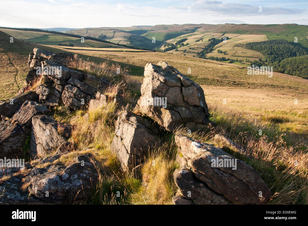 Vertice roccioso del truffatore hill in serata estiva di luce solare con una vista verso il bordo Derwent nel Peak District, Derbyshire. Foto Stock