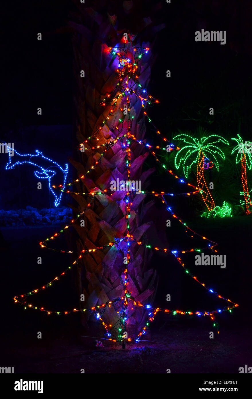 Proprietario di una casa in Florida, Stati Uniti d'America, ha decorato il suo cortile per le vacanze di Natale con un tema tropicale utilizzando stringhe di luci colorate. Foto Stock