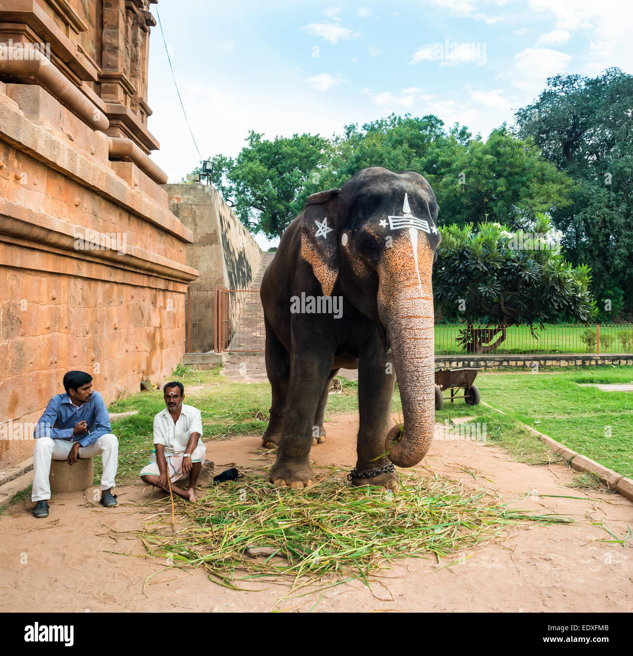 THANJAVOUR, India - 13 febbraio: Un uomini non identificati si trova presso la porta del tempio Brihadishwara accanto a un elefante. India, Ta Foto Stock
