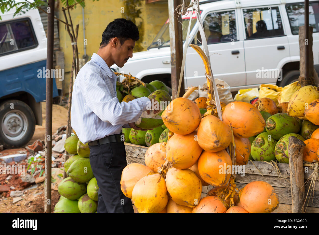 TRICHY, India - 15 febbraio: un uomo non identificato si erge nei pressi di noci di cocco. India, nello Stato del Tamil Nadu, nei pressi di Trichy. Febbraio 15, 2013 Foto Stock