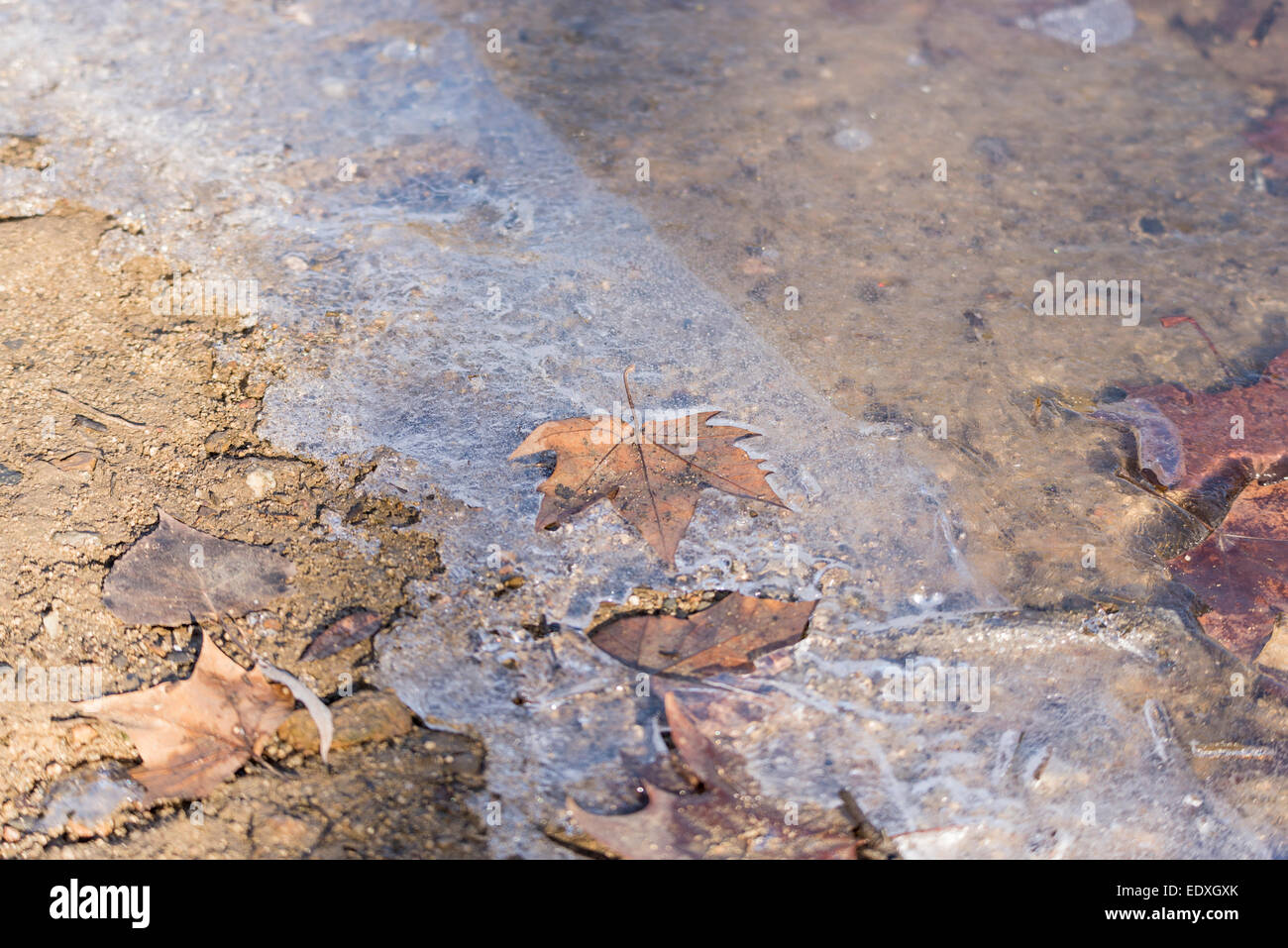 Lago ghiacciato con un secco lastra di ghiaccio Foto Stock