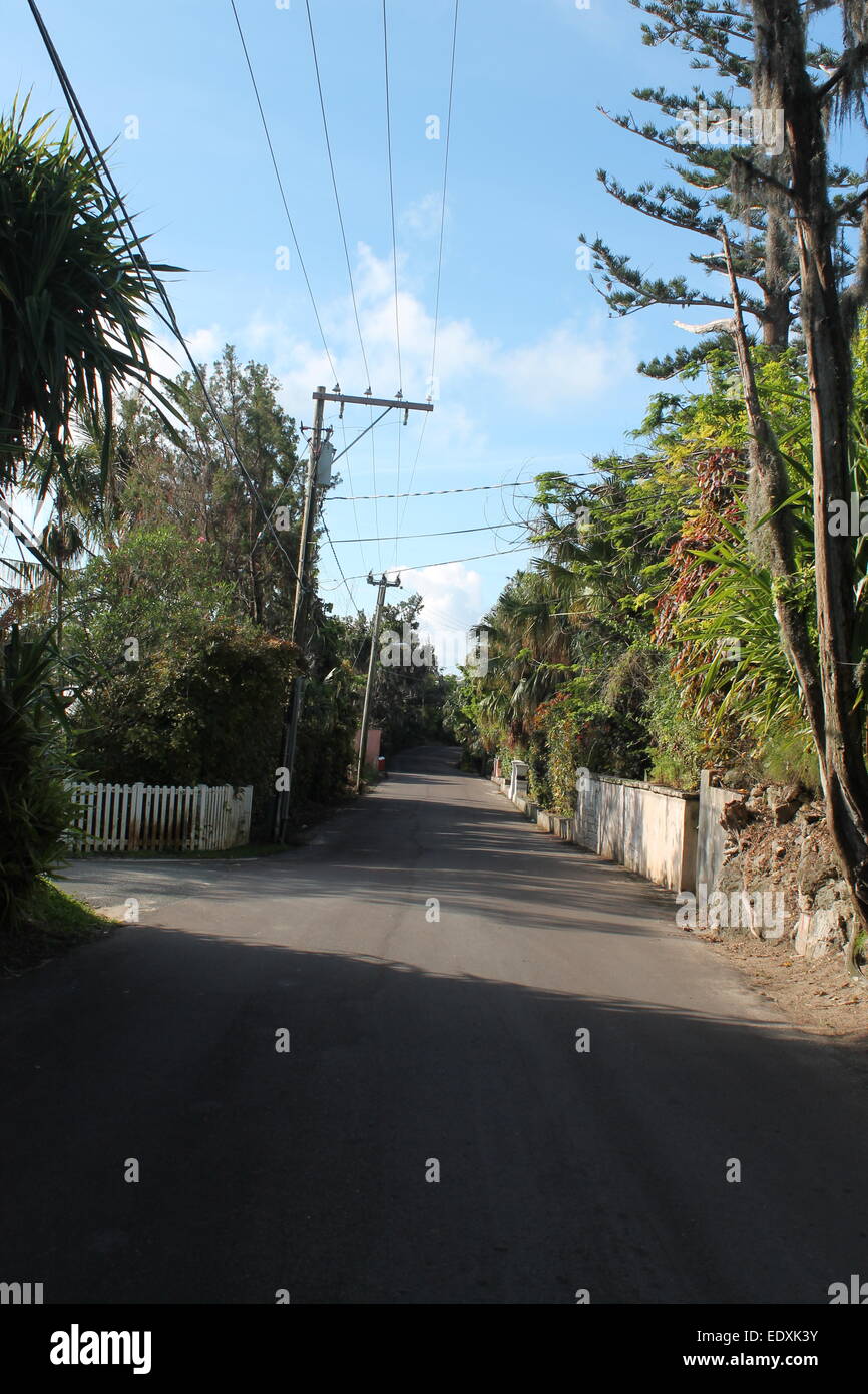 Strada vuota, Sandy parrocchia, Bermuda Foto Stock