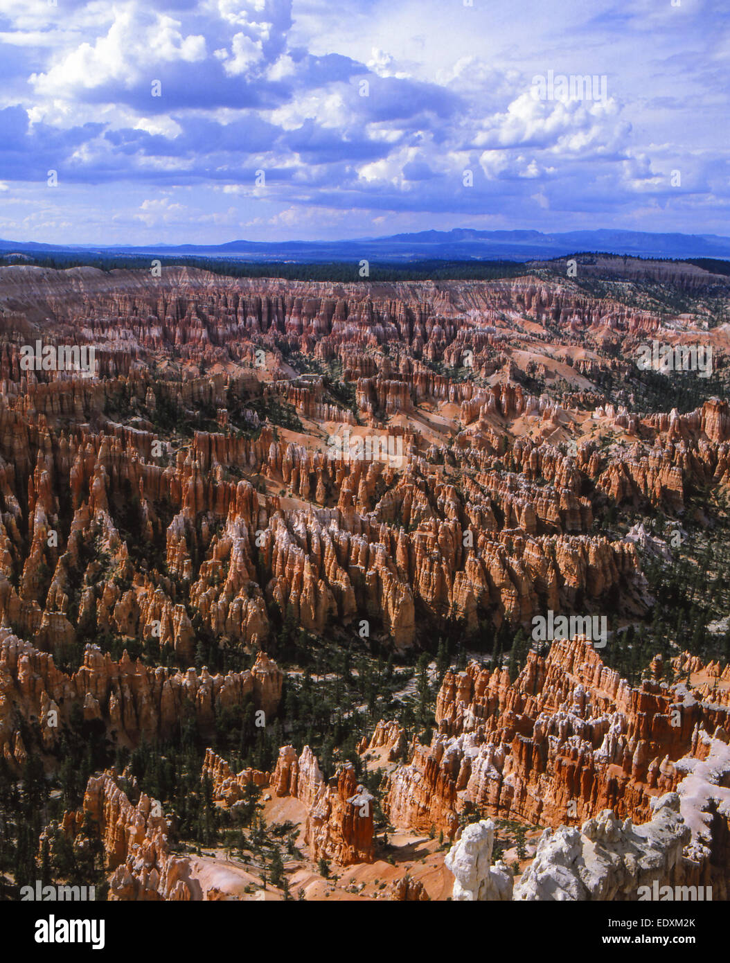 Amerika, USA, Landschaft im Nationalpark Bryce, America, paesaggio nel Parco Nazionale di Bryce, il Parco Nazionale di Bryce, Utah, rocce, ROC Foto Stock