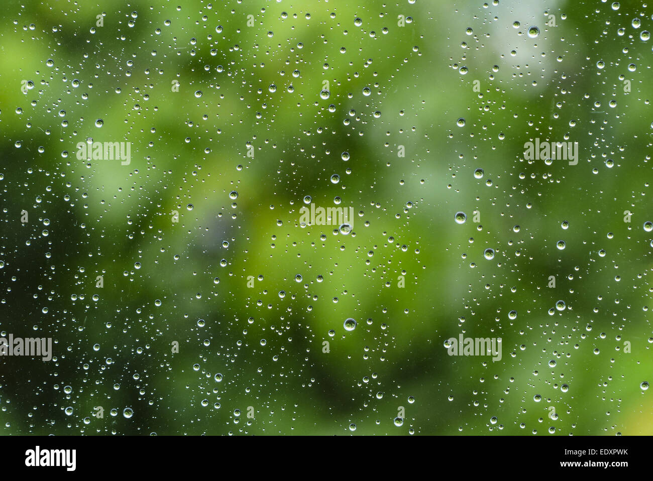 Regentag, Regentropfen un einer Fensterscheibe, giornata piovosa, gocce di pioggia su un vetro di finestra, astratta, sfondo, dietro, luminoso bub Foto Stock