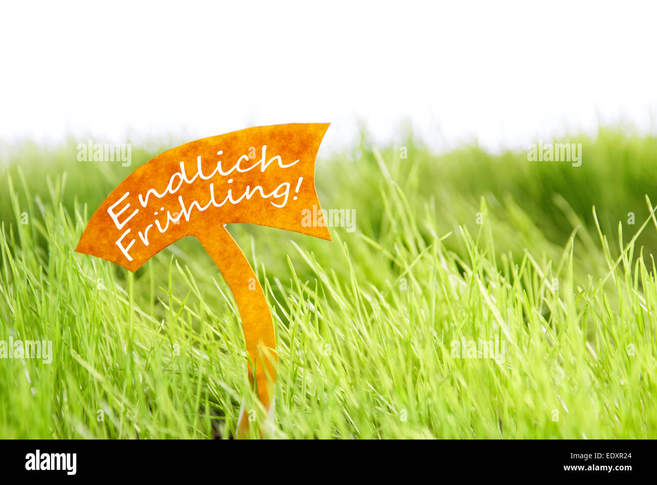 Etichetta con testo tedesco Endlich Frühling che significa primavera è spuntata in Sunny erba verde per la primavera o estate sensazione Foto Stock