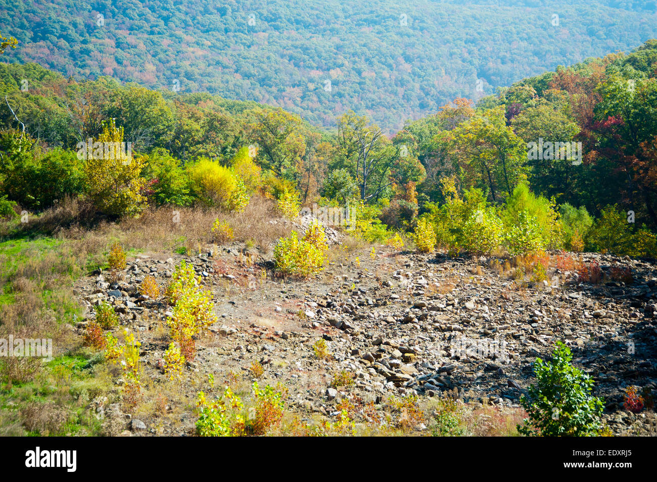 Vista vista in Ozark Paese Foto Stock