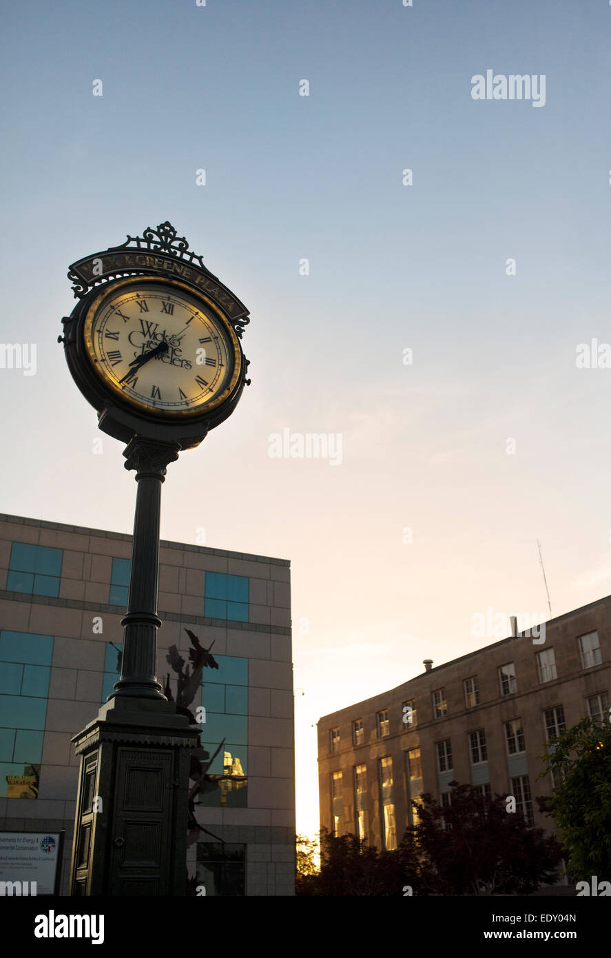 Stoppino & Greene Plaza gioiellieri orologio nel centro cittadino di Asheville, Carolina del Nord Foto Stock