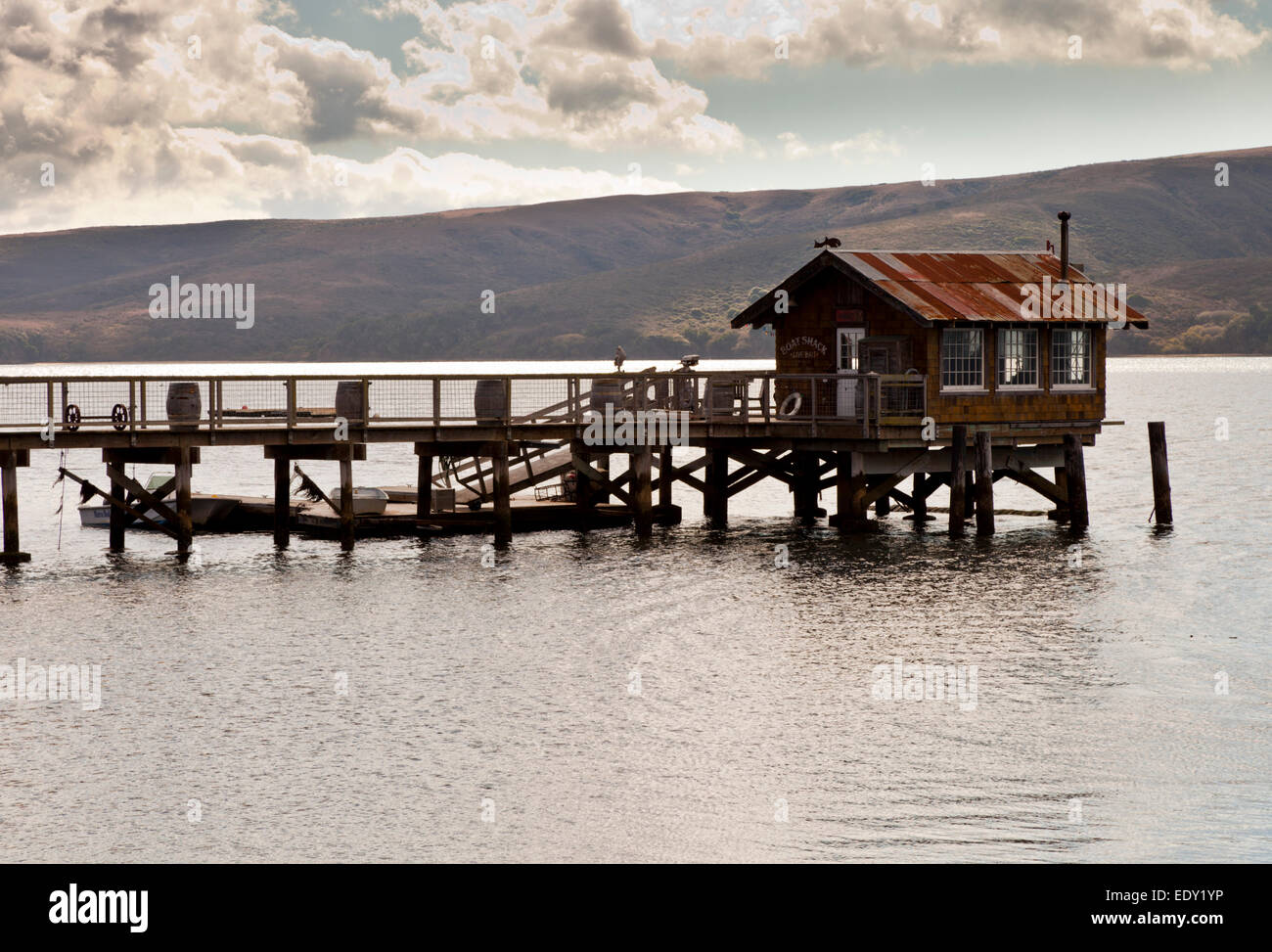 Il dock a scheggiature Cove Maresciallo Tomales Bay California USA Foto Stock